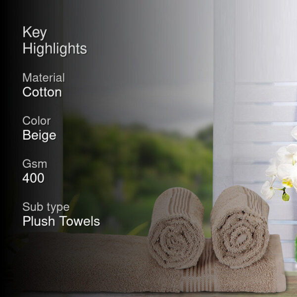 Eva Quick Dry Towel Combo (Brown) - Three Piece Set
