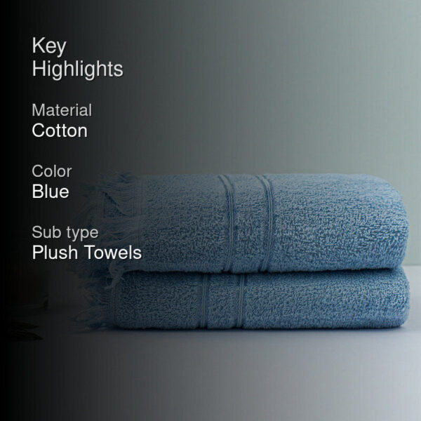 Micro Cotton Luxe Dry Soothe Hand Towel (Blue) - Set Of Two