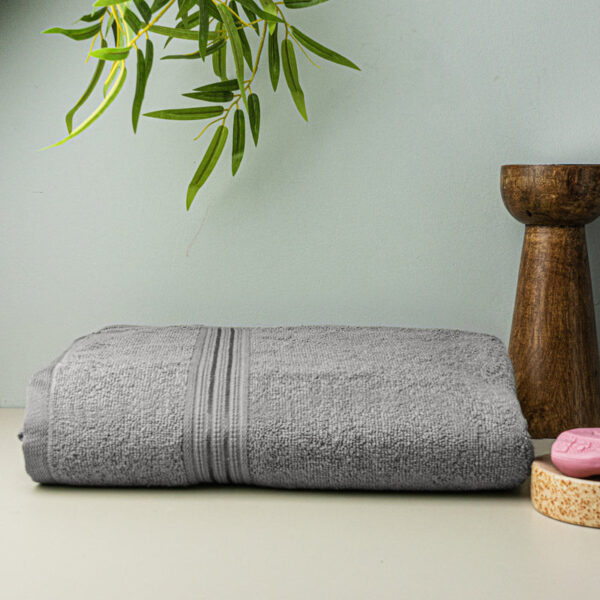 Micro Cotton LuxeDry Solid Bath Towel - Grey