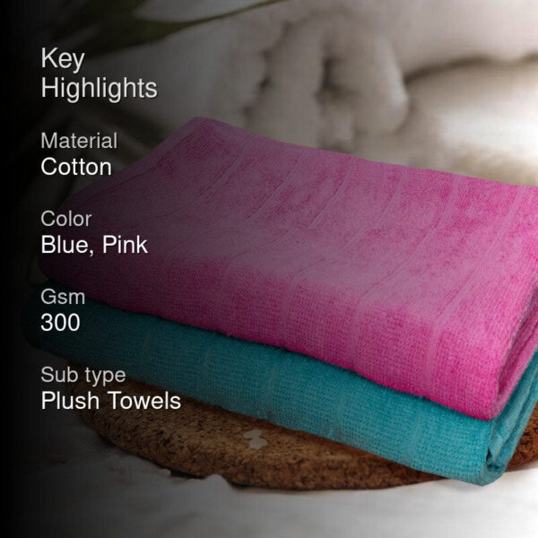 Sarda Bath Towel (Purple & Light Blue) - Set Of Two